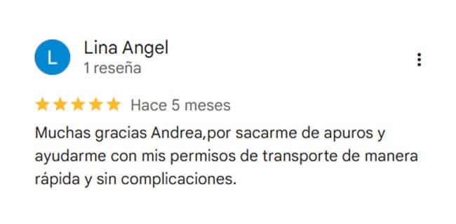  Reseña_LinaAngel 